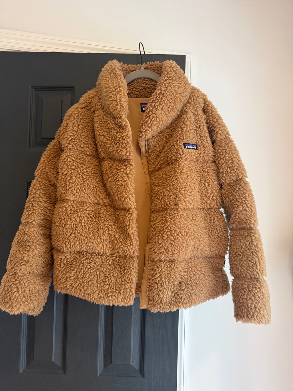 Patagonia Chestnut Brown Teddy Fleece Jacket